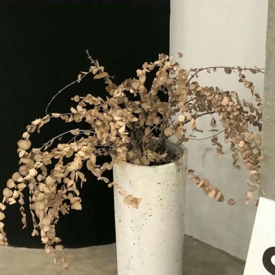 兽设森系风格设计福瑞交流群